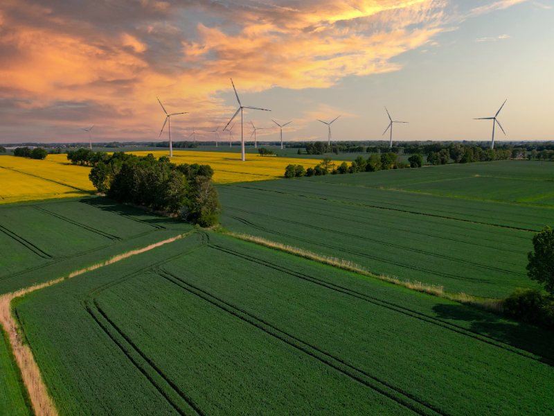 widok z lotu ptaka na zielone pola