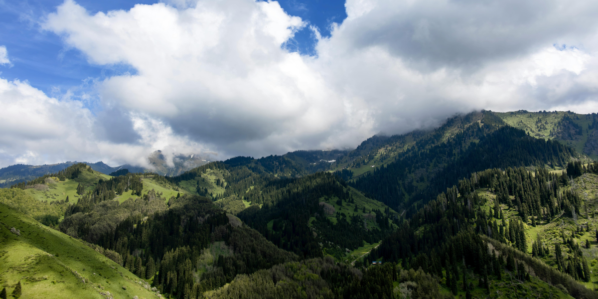 Widok na góry