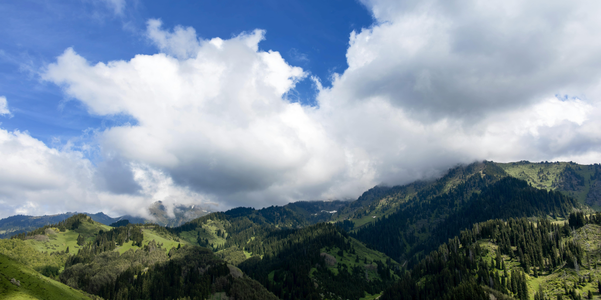 Widok na góry