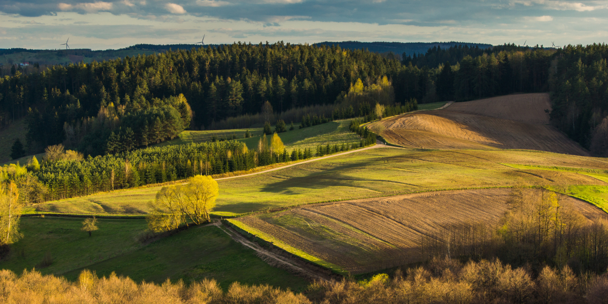 Suwalski Park Krajobrazowy