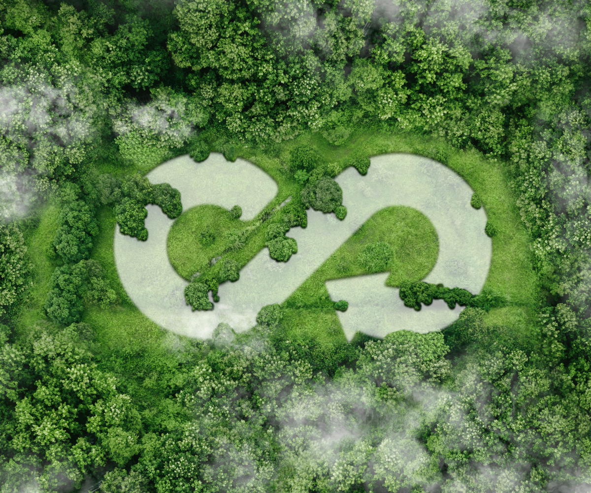 Ilustracja przedstawiająca transformację cyrkularną